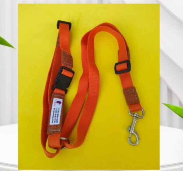 Coleira Automotiva Pet - Petbaby