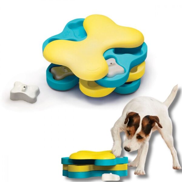 Dog Tornado Interactive